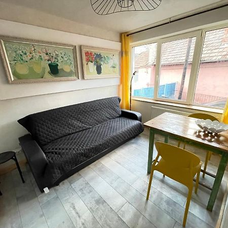 Art Apartments Govora Cluj Екстериор снимка