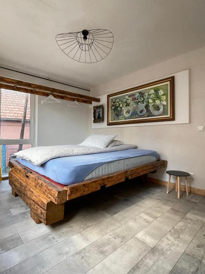 Art Apartments Govora Cluj Екстериор снимка